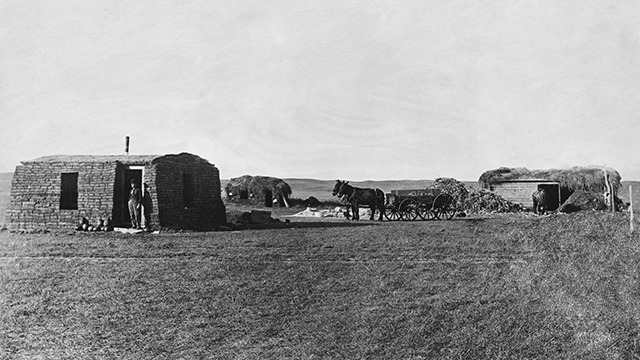 The program will also be available for streaming online.